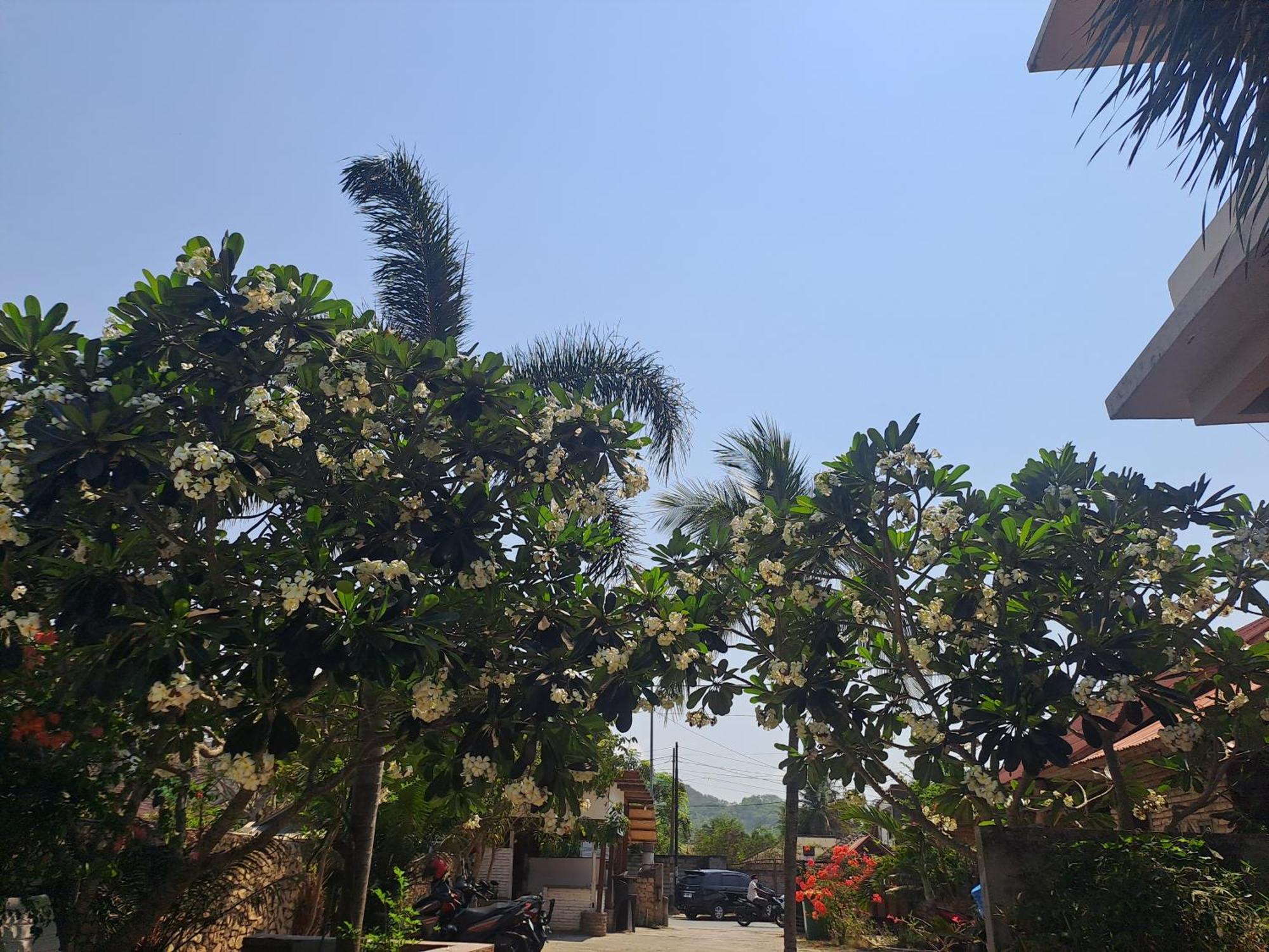 Kutabay Homestay Kuta  Zewnętrze zdjęcie